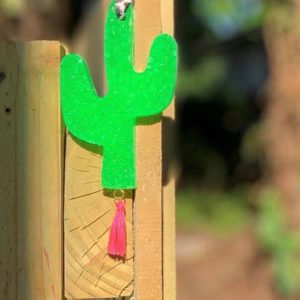 Cactus Car Freshie with tassel